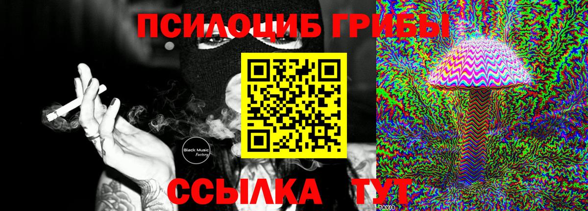 Псилоцибиновые грибы GOLDEN TEACHER  Вход с VPN  Кондопога 