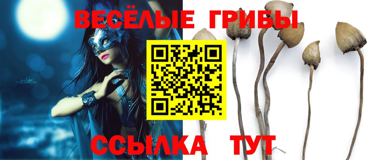 Псилоцибиновые грибы прущие грибы Кондопога
